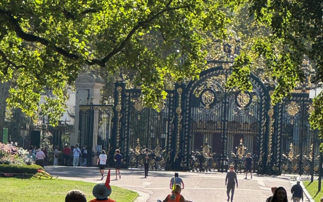 PROMENADES EN CYCLOPOUSSE